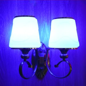Double wall sconce or twin wall lamp Wall Bucket